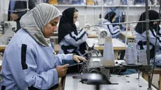 ایجاد اشتغال برای ۲۵۰۰ نفر توسط بسیج سازندگی زنجان