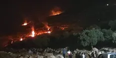خشم شبانه فلسطینی‌ها در جنوب نابلس/ ۵۳ نفر زخمی شدند