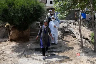 جدید