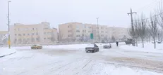مدارس و ادرات استان ایلام برای فردا تعطیل اعلام شد
