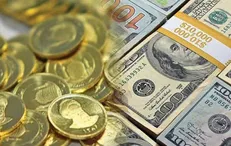 قیمت سکه و دلار امروز یکشنبه ۱۴۰۲/۱/۲۰