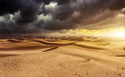 حدود ۵۰ مسافر در صحرای بزرگ آفریقا بر اثر تشنگی جان باختند
