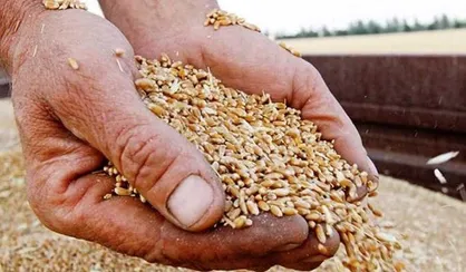ذخایر گندم و کالا&zwnj;های اساسی کشور ۲ برابر شد