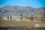 مسابقات سوارکاری 