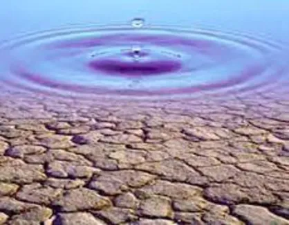 معاون توانیر: تابستان بسیار سختی خواهیم داشت