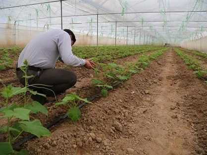 پرداخت ۲۹۷ میلیارد تومان تسهیلات به نیازمندان خراسان&zwnj;جنوبی