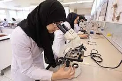 ۳۴ درصد حقوق&zwnj;بگیران صندوق بازنشستگی را زنان تشکیل می&zwnj;دهند