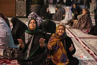 دبب
