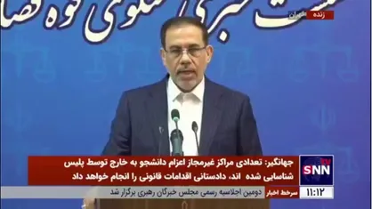 جهانگیر: پلیس بین الملل نسبت به استرداد &laquo;مرجان شیخ الاسلامی&raquo; اقدام کرده است