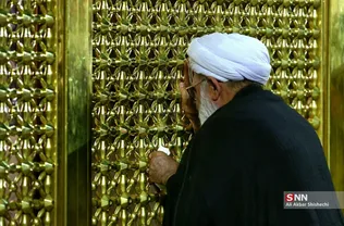 دبب