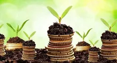 توسعه زیست‌فناوری ۳۱ میلیارد دلار صادرات غیرنفتی به ارمغان می‌آورد