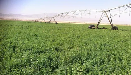 بیغاله: الزامات واگذاری قید شده در سیاست&zwnj;های کلی اصل ۴۴ در کشت و صنعت مغان رعایت نشده است