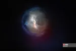 دبب