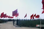 new