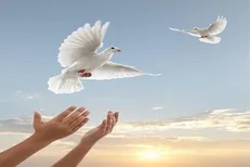نذری که از اتاق عمل تا ستاد دیه تهران ادامه داشت