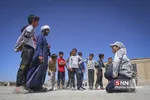 جهادی
