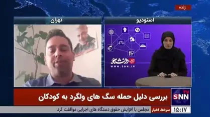 عضو هیات علمی دانشگاه تهران: راهکار کنترل جمعیت سگ&zwnj;های بلاصاحب و ولگرد استفاده از راهکار&zwnj;های علمی و بین&zwnj;المللی است/ عقیم کردن اولین قدم است