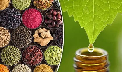 راهکار&zwnj;های گیاهی یک شرکت دانش&zwnj;بنیان برای مقابله با ویروس کرونا