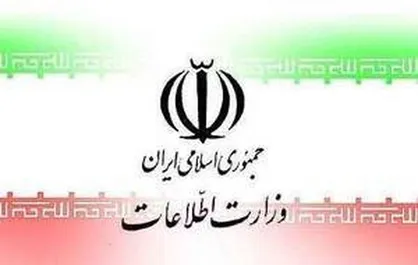 وزارت اطلاعات: تیم ۱۰ نفره عاملان جنایت میدان هروی بازداشت شدند