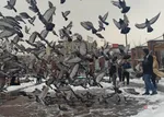 امام زاده صالح برفی