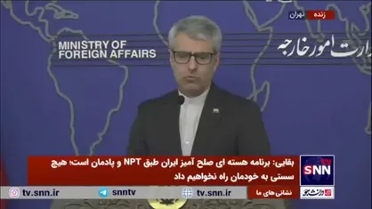 بقایی: در رابطه با قتل تبعه ایرانی با دولت سوئد در ارتباط هستیم/ آماده کمک برای انجام تحقیقات قضایی و مجازات ضارب هستیم