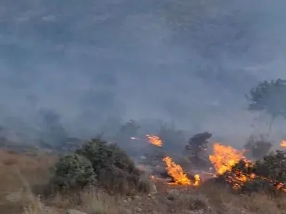 ادامه آتش&zwnj;سوزی دشتستان؛ درخواست کمک از مناطق همجوار