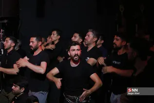 دبب