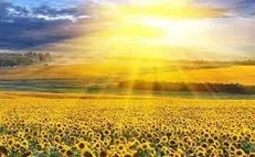 دمای ۶ شهر به بیش از ۵۰ درجه رسید
