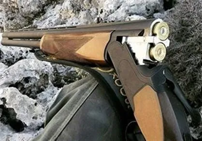 آئین&zwnj;نامه اجرایی قانون شکار و صید منتشر شد