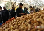 yalda