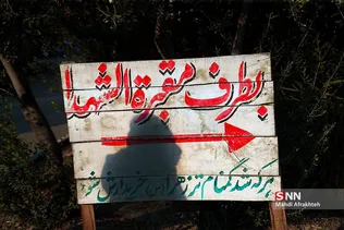 طزدز