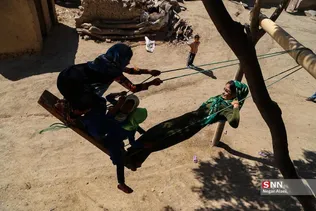 دبب