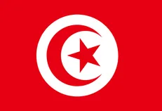 شهید سلیمانی بین مردم تونس جایگاه والایی دارد/ منتظر انتقام هستیم