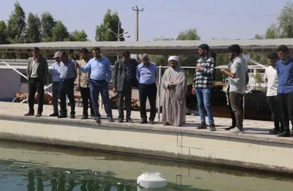 درخشش تیم&zwnj;های دانشگاه ولی عصر(عج) رفسنجان رویداد ملی رباتیک جام آبی یزد