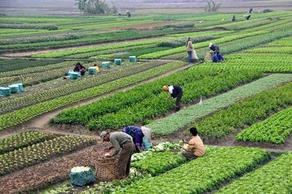 ۷ پیشنهاد اساسی برای بهبود طرح اصلاح قانون استفاده حداکثر از توان داخلی/ &laquo;خودتنظیمی&raquo;؛ وجه گمشده قانون