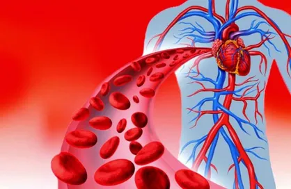 ۲ سال سابقه کار بالینی به شرایط متقاضیان ارشد تکنولوژی گردش خون افزوده شد