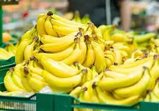 موز در عمده‌فروشی به مرز ۴۰ هزار تومان رسید / قیمت انواع میوه و تره‌بار