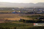 تخریب باغات