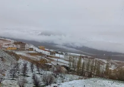 سرما و یخبندان بهاره ۲۰ هزار میلیارد ریال به باغات اردبیل خسارت وارد کرد