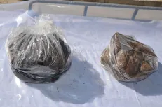 کشف ۸۷ کیلوگرم تریاک در چهارباغ