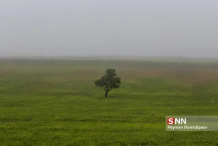 مه 