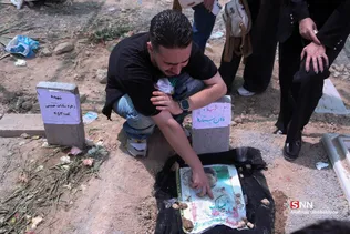 دبب