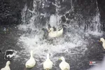بارش برف در شمال شهر پایتخت
