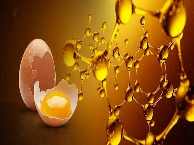 بهبود اسیدهای چرب و آنتی‌اکسیدان تخم‌مرغ با مکمل‌سازی غذایی