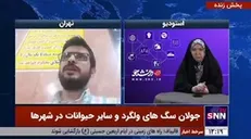 کارشناس محیط زیست: سگ‌ها حیات وحش را تهدید می‌کنند