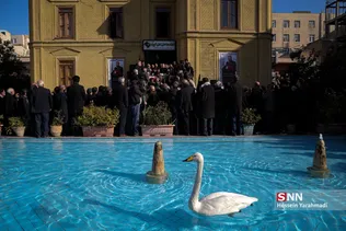 تشییع پیکر مرحوم سید قاسم موسوی قهار