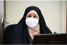 ۱۲۲ هزار نفر، تسهیلات مشاغل خانگی دریافت کرده‌اند