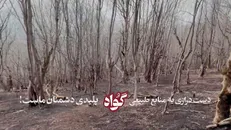 انتشار برای اولین بار| روایتی از آتش سوزی عمدی جنگل های رودبار و گیلان همزمان با شروع اغتشاشات در سطح کشور