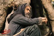 لعن و نفرین ابدی عاشقان شمس و مولانا را برای خود نخرید