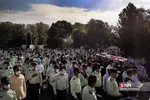 دذتد